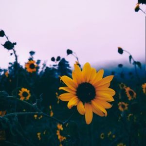 Meet your Posher, Jayden